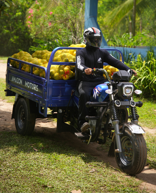 Aplicação comercial do AMZ Triciclo